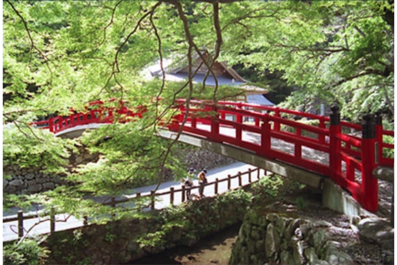 【入選】四季の花道 上垣 幸三様