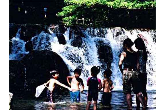 【銅賞】涼感漂う「渓流」 則元 昭生様