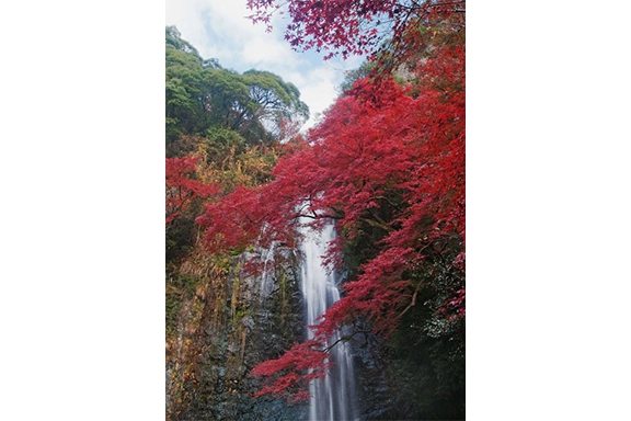 【銀賞】『紅　極める』 谷川 憲一様