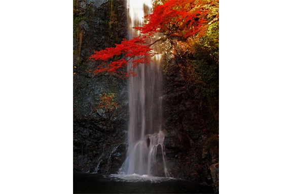 【入賞】『箕面滝秋景』 冨山 弘毅様