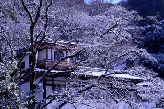 【入賞】『新春の雪もみじ』 福田 益男様