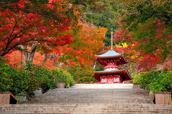 【銅賞】秋深まる多宝塔 平木 吉彦様