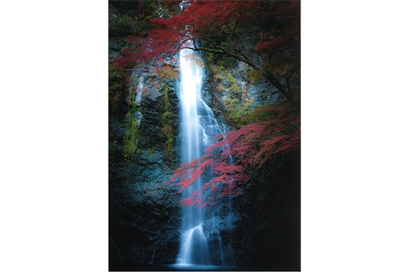 【銀賞】　彩りの大滝 志野 彰治様