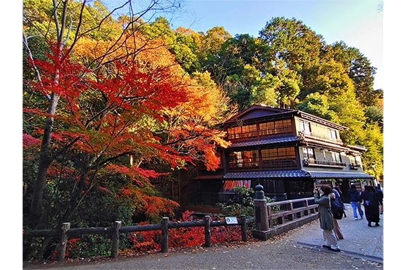 令和4年度もみじまつり写真コンクール入賞作品