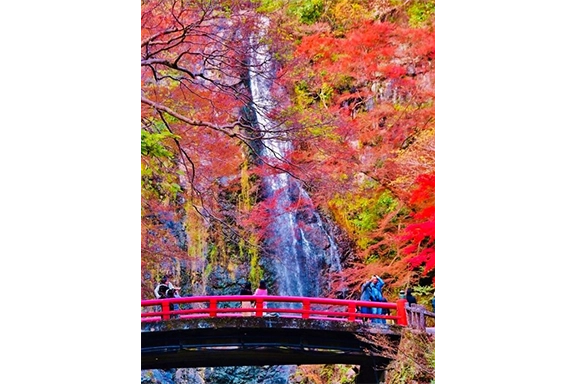 令和5年度もみじまつり写真コンクール入賞作品