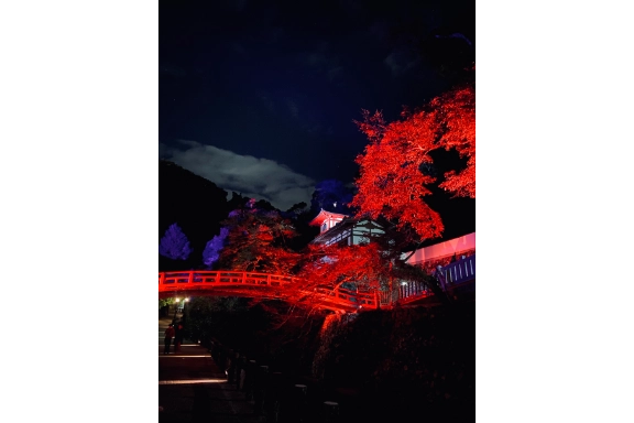 令和6年度もみじまつり写真コンクール入賞作品